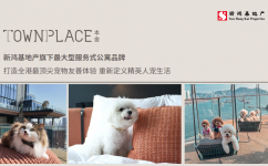 新鸿基地产“TOWNPLACE 本舍”打造香港最顶尖宠物友好体验，休闲快讯站