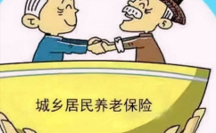 怎么缴纳城乡居民养老保险,轻松了解缴费流程